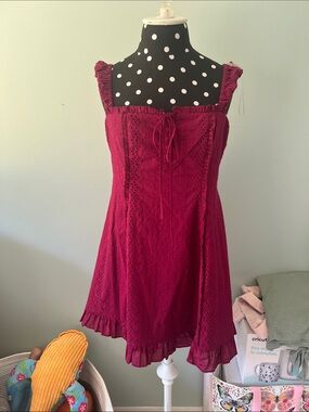 NWT wild fable Berry Lace-Trim Mini Dress